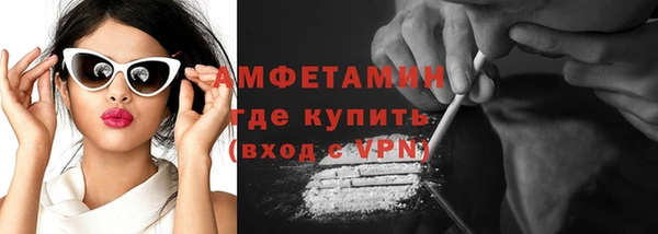 амф Дмитров