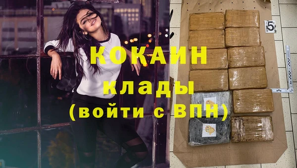 амф Дмитров
