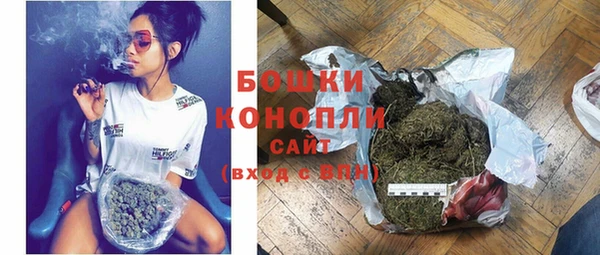 амф Дмитров