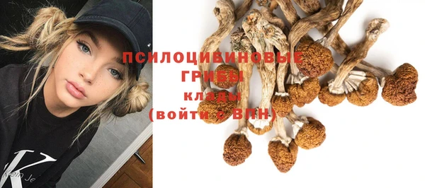 МДМА Дмитриев