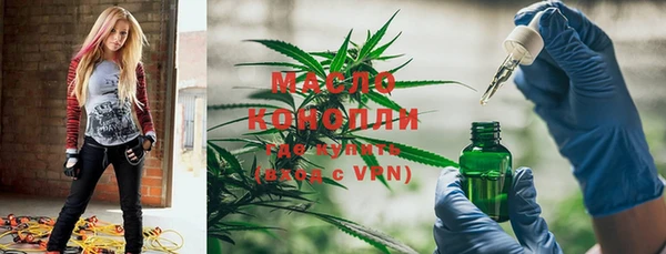 амф Дмитров