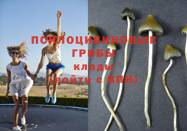 амф Дмитров