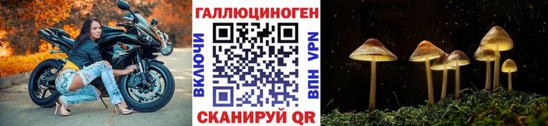 Галлюциногенные грибы Psilocybine cubensis  ОМГ ОМГ как зайти  Кондопога 